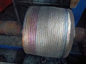 ���׹��Ѻ��ֳ�