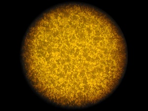 ���ӽ�����֯ͼʾ