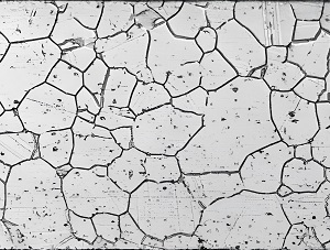 ���ӽ�����֯