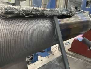 �����Ѻ��ֳ�