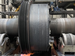 �����Ѻ��ֳ�