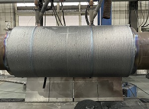 �����޸��Ѻ���˿����ĥ