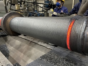 ˫ͷ�����Ѻ���������׹�