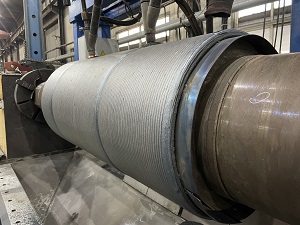 ������ĥ��˿