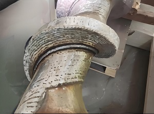 ��������ĥ��˿