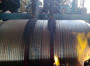 ֧�й��Ѻ���˿����