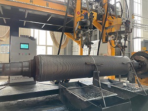 �����ֳ�1