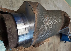 ������ת����ĥ��˿