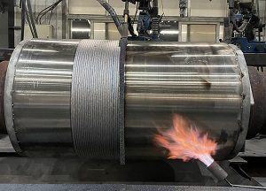 �����Ѻ�