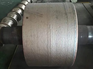 �Ĺ��ƶѺ���ĥ��˿