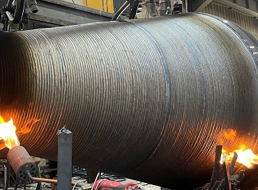 �����Ѻ�ĸ��