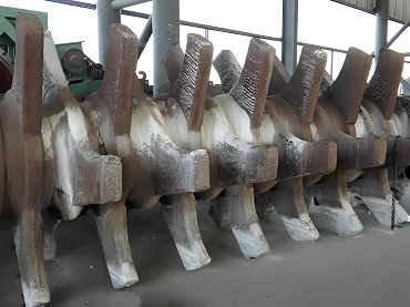 ����������Ѻ�