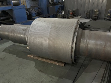 ���ٸ���������ȱ��